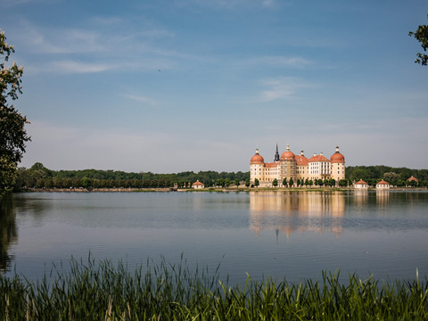Schloss Moritzburg