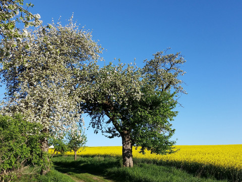 Panoramarundweg und Fernwanderweg Ostsee-Saaletalsperren - Zwischen Hohenfichte und Augustusburg