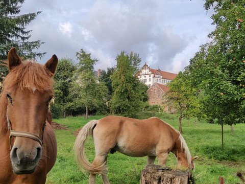 Lutherweg mit Blick auf Schloss Colditz