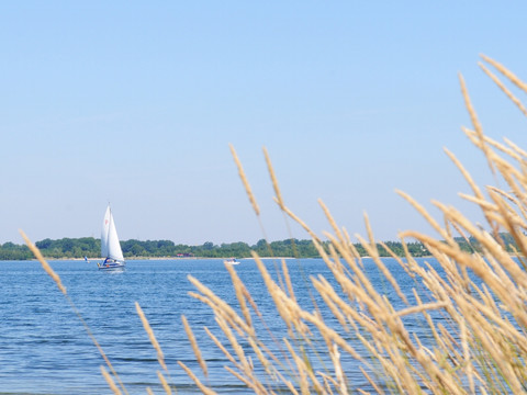 Lutherweg Cospudener See