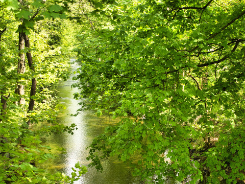 Im Flöhatal bei Hirschberg