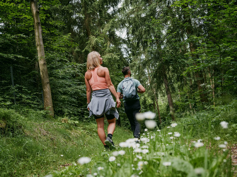 Waldweg zwischen Seiffen und Olbernhau