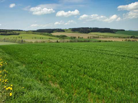 bei der Rachelbrücke
