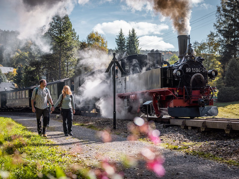Wanderung entlang der Preßnitztalbahn