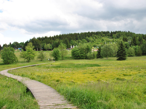 Blick zur Sommerrodelbahn, Erlebnisberg Altenberg