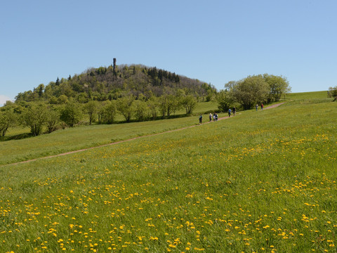 Geisingberg im Sommer