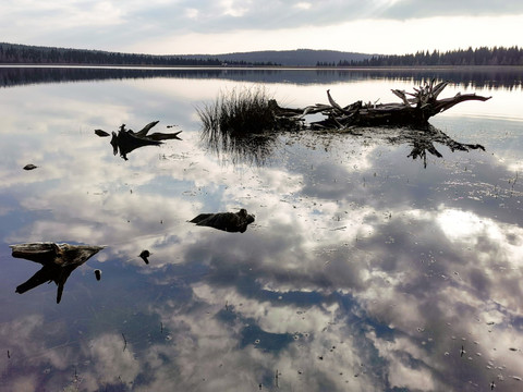 Blick auf Galgenteich