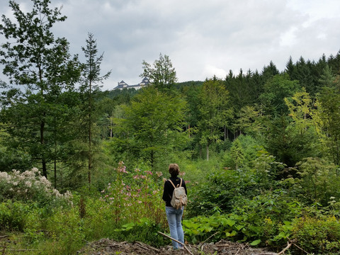 Blick vom E-Weg zum Schloss