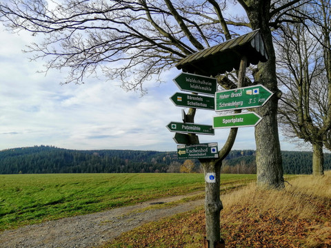 Auf dem Weg zum Hohen Brand, Kipsdorf