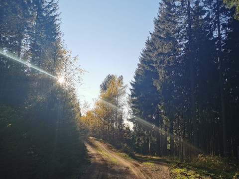 Langer Weg Sommer, Oberbärenburg