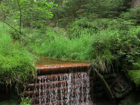Stauwehr am Unteren Floßgraben Grünbach/Muldenberg