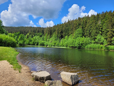 an der Liegewiese Talsperre Falkenstein