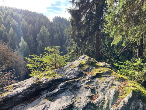 Ausblick von der Bismarck-Bastei, zu geniessen auf dem Felsenweg 2