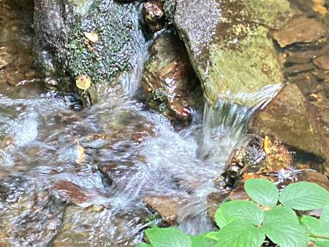 Weiße Göltzsch am Basteiaufstieg Felsenweg 2