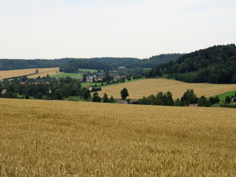 Blick nach Taubenheim/Spree