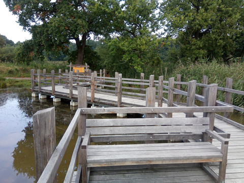 Röhrichtsteg am Langteich