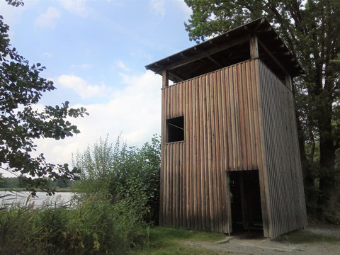 Beobachtungsturm Brösaer Teich