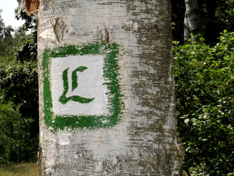 Lutherweg Sachsen