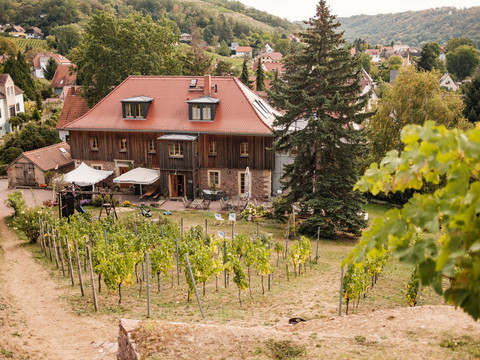 Weingut Mariaberg Meißen