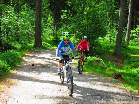 Sandhusenringel Geyer