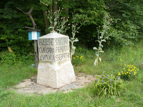 Säule König Karl XII