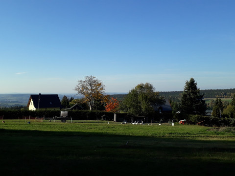 Vogelsgrün im Herbst