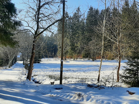 Winter in Bad Reiboldsgrün