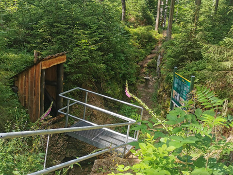 unterwegs am Lehrpfad