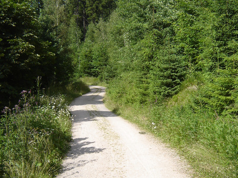 Wanderweg rund um den Gerstenberg