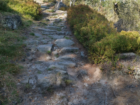 Aufstieg zum Schneeberg