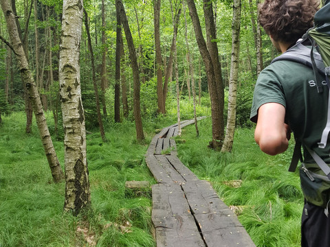 Bohlenweg im Bielatal