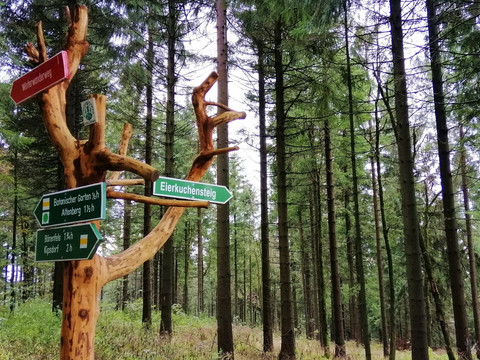 Wandern in der Urlaubsregion Altenberg