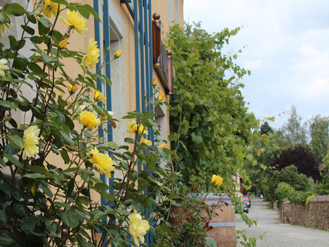 Winzerhaus Barth, Weinbergstraße