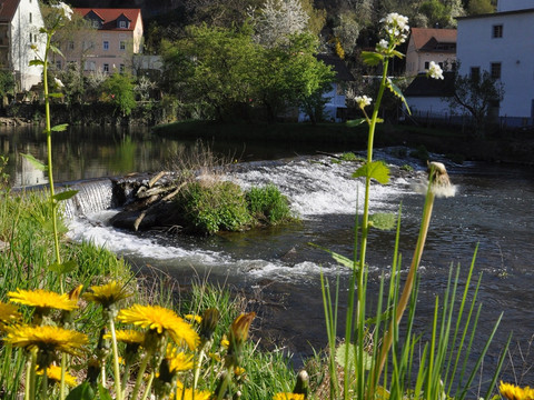 Blick auf Nicolai-Kirchruine Bautzen und Hammermühle
