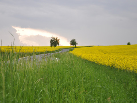 am Weg nach Mehltheuer
