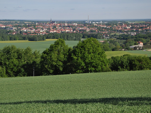 Blick bei Mehltheuer auf Bautzen und seine Türme