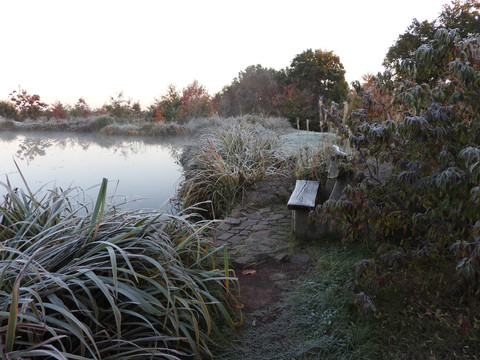 An den großen Seen im Forstpark