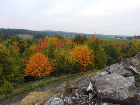 Blick von den Appalachen im Forstgarten