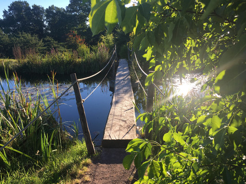 Morgenstimmung an den Großen Seen