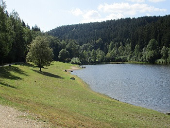 Badestelle und Liegewiese Talsperre Falkenstein