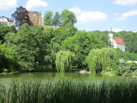 Blick zur Ruine in Tharandt