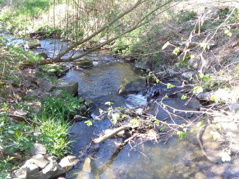Mühlbach im Goldenen Tälchen in Dehnitz