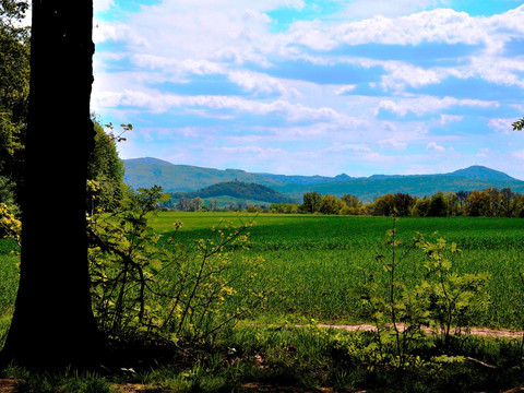 Aussichtspunkt nach Süden (böhmische Berge)