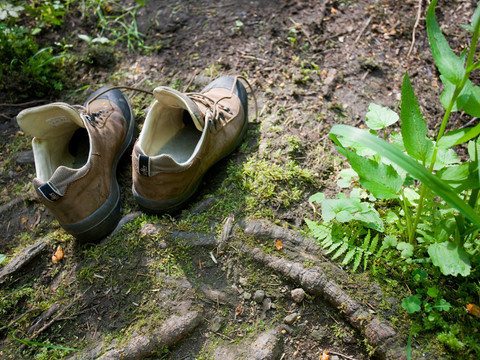 Wanderschuhe auf Wanderweg