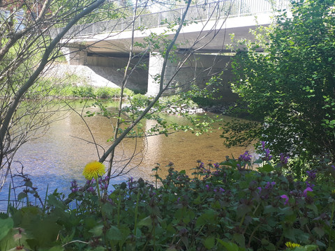 Zschopauufer Am Steghaus