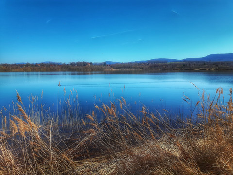 Olbersdorfer See - Hintergrund Naturpark Zittauer Gebirge - Autor Dasa Hrehova
