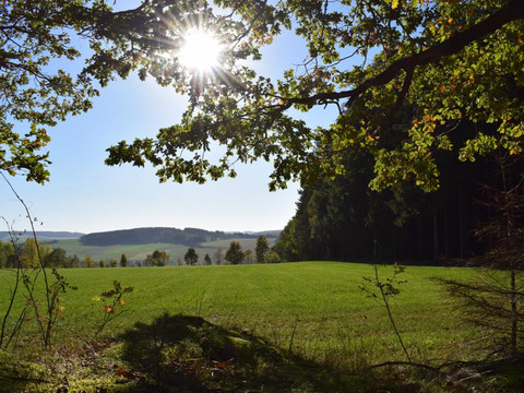 Ausblick am Auerbacher Rundweg