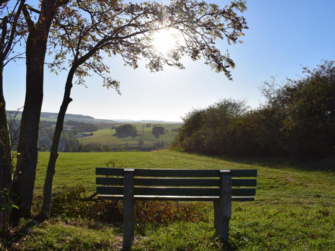 Bank am Auerbacher Rundweg