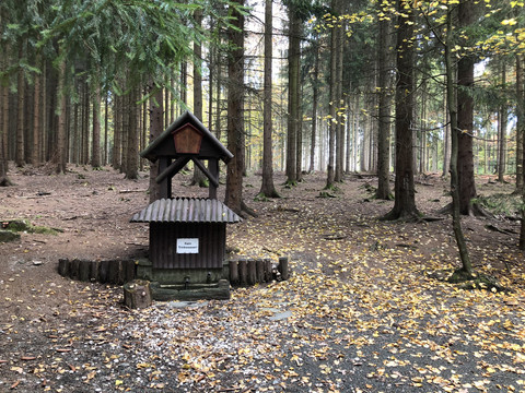 Forzbachl-Quelle in Thalheim