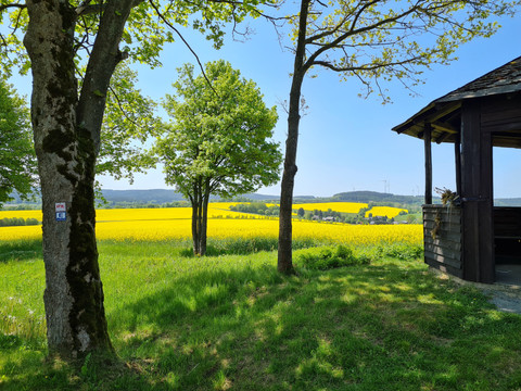 Elstergebirgsweg - Blick nach Bad Brambach